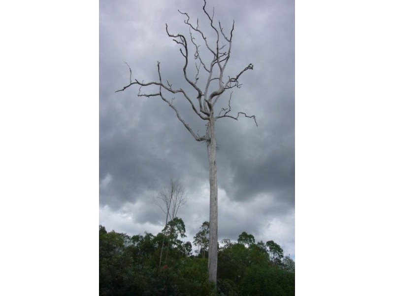 36 & 37 Plantation Rd, Tamborine QLD 4270