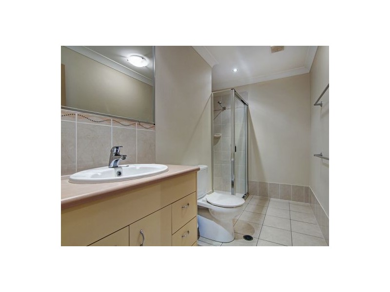 51 Willowleaf Cl, Stretton QLD 4116