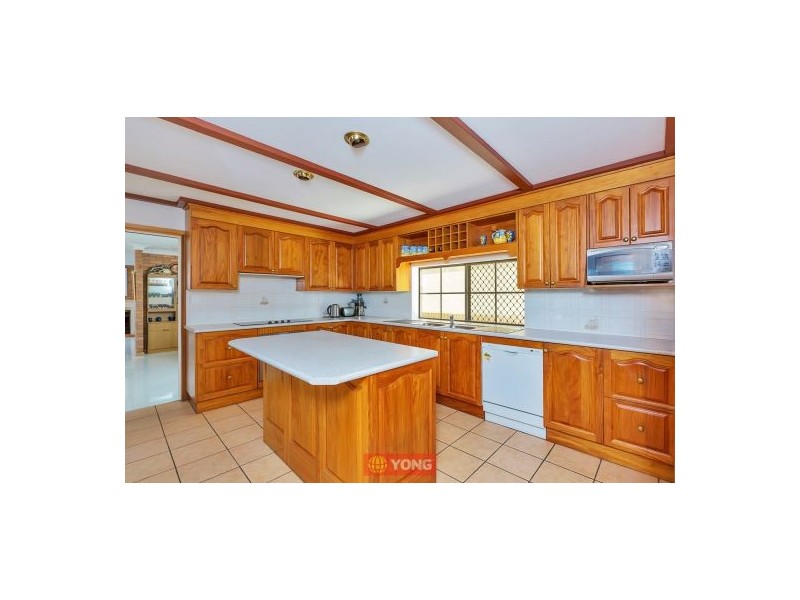23 Bluegum St, Macgregor QLD 4109