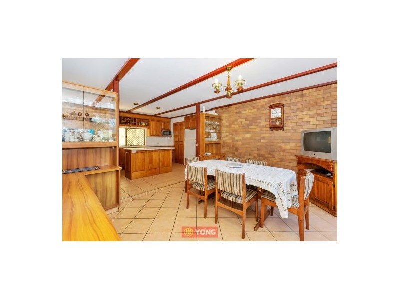 23 Bluegum St, Macgregor QLD 4109