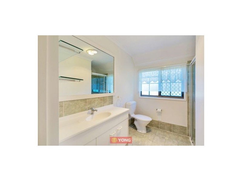 23 Bluegum St, Macgregor QLD 4109