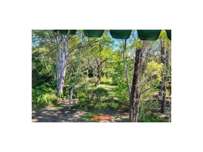 23 Bluegum St, Macgregor QLD 4109