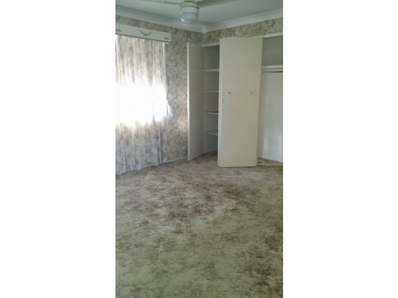 .24 Ravenala St, Sunnybank Hills QLD 4109