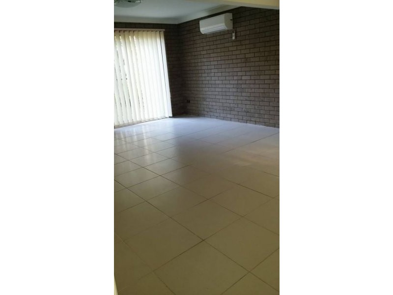 .24 Ravenala St, Sunnybank Hills QLD 4109