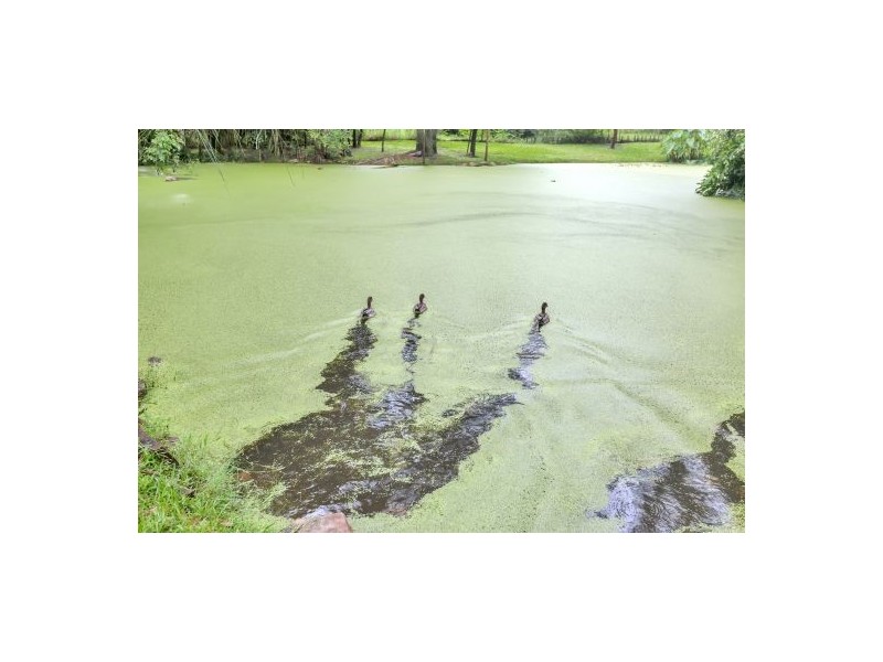 230 Bleasby Road, Eight Mile Plains QLD 4113