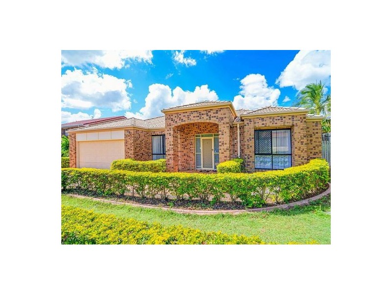 8 Falaise Pl, Sunnybank Hills QLD 4109