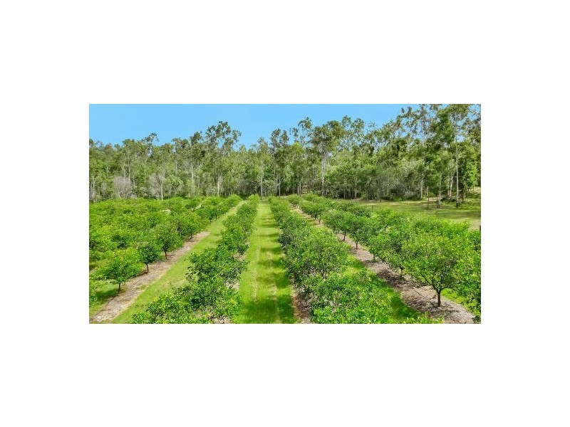 969 Stockleigh Rd, Stockleigh QLD 4280