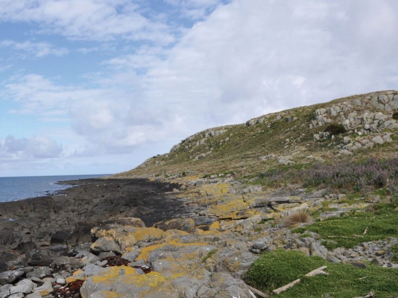 Ninth Island, Bridport TAS 7262