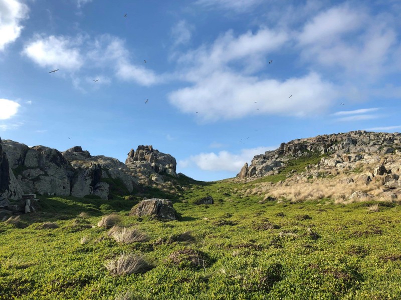 Ninth Island, Bridport TAS 7262