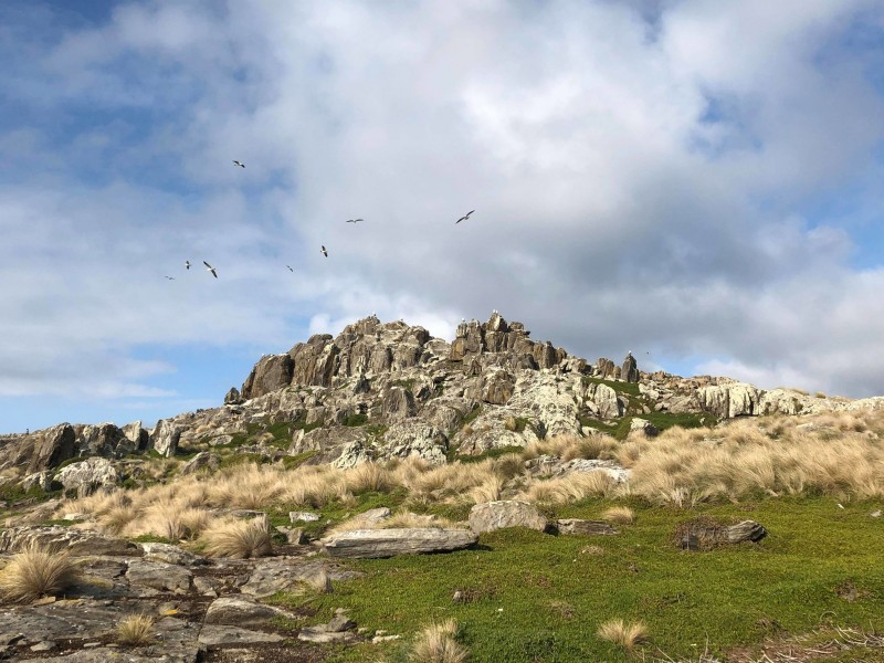 Ninth Island, Bridport TAS 7262