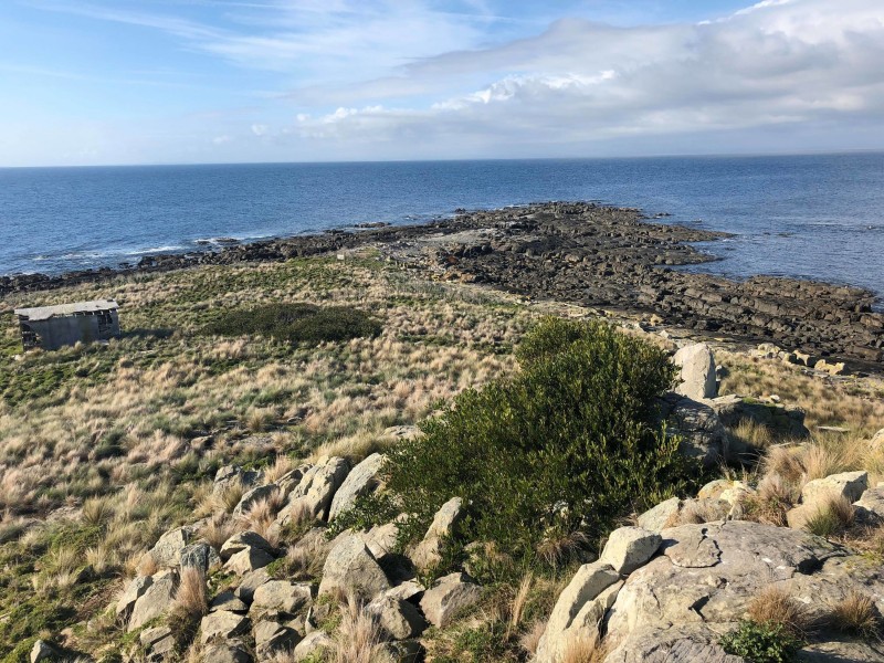 Ninth Island, Bridport TAS 7262