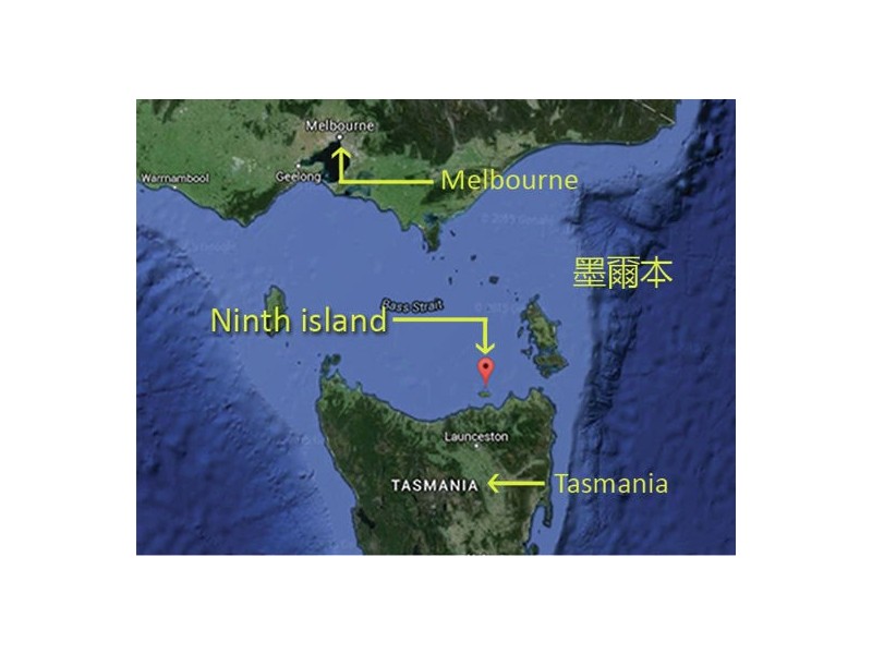 Ninth Island, Bridport TAS 7262