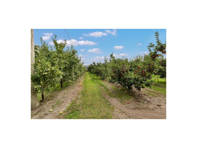 1/80. High St, Stanthorpe QLD 4380