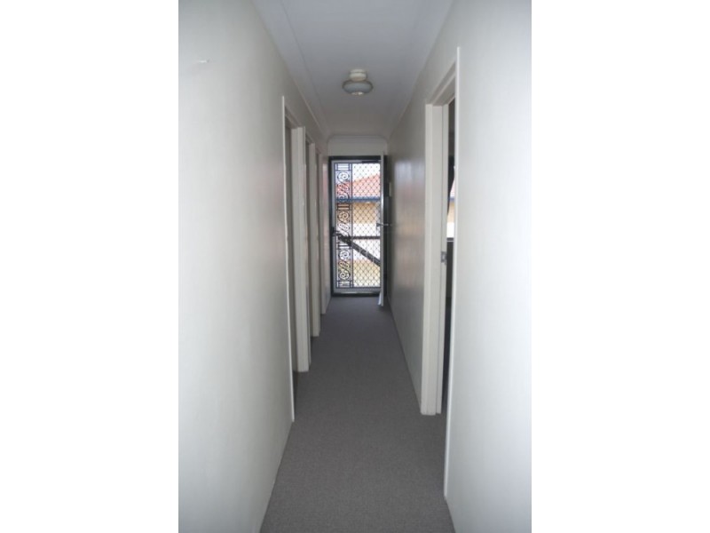 3/51 Leicester St, Coorparoo QLD 4151