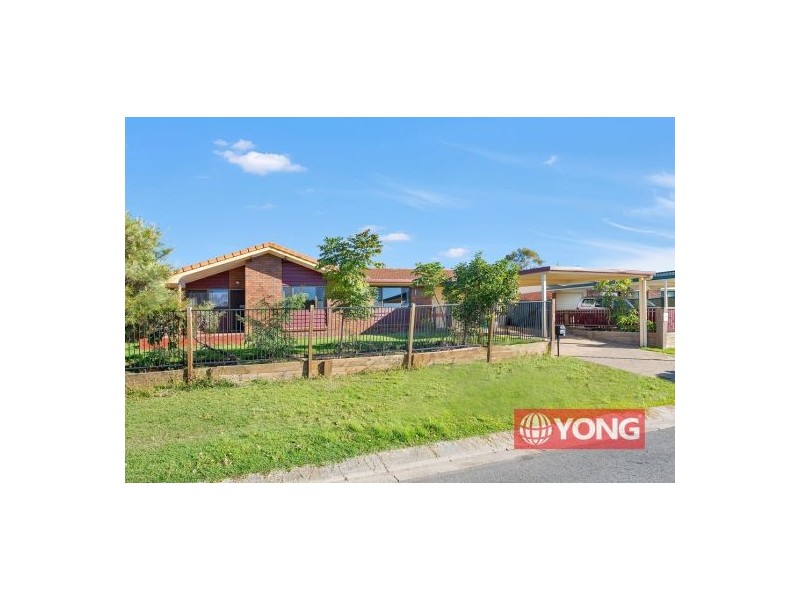 45 Cordia Street, Algester QLD 4115