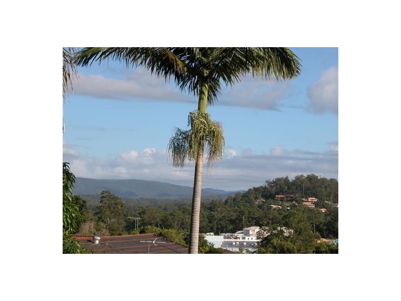 3 Ebrill St, Jamboree Heights QLD 4074