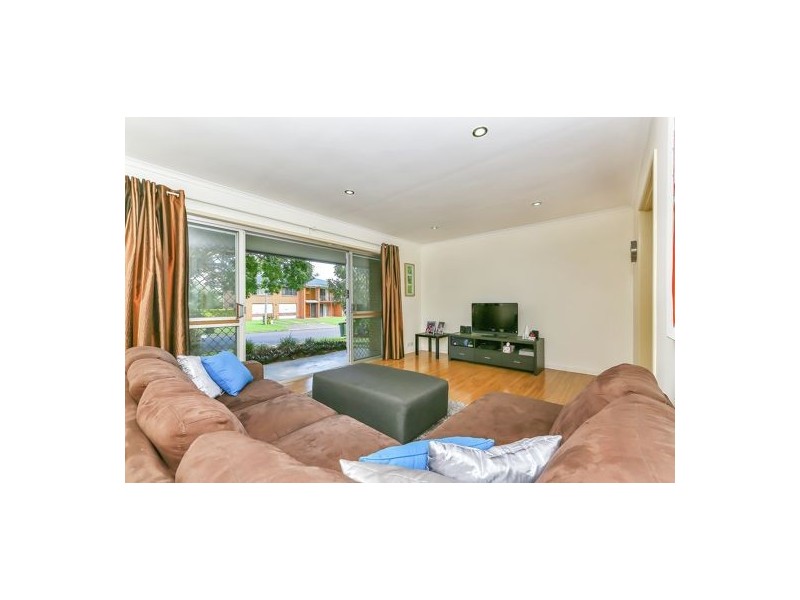 17 Stavewood St, Algester QLD 4115