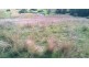 Lot 310 & 314 Boyles Rd, Pine Mountain QLD 4306