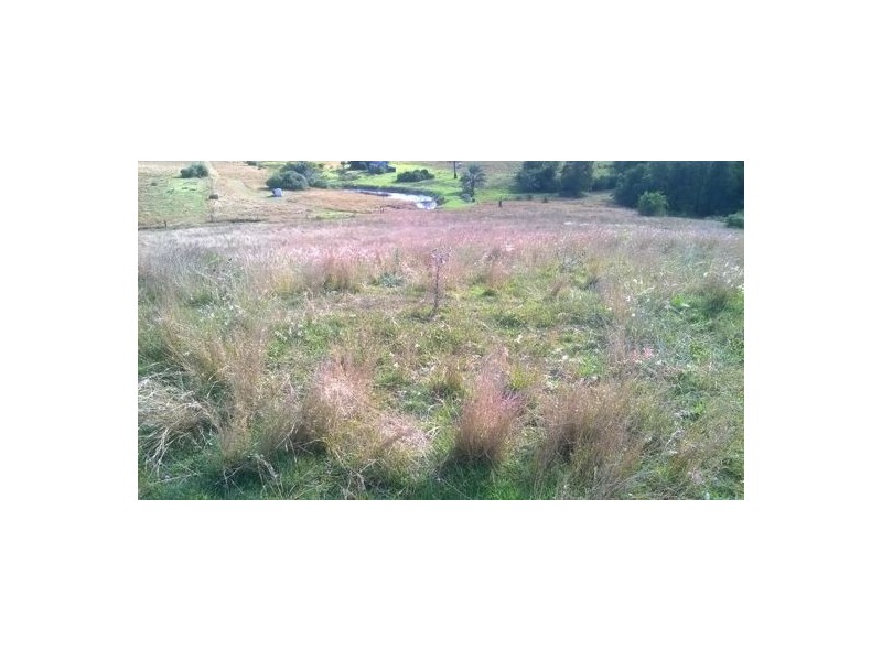 Lot 310 & 314 Boyles Rd, Pine Mountain QLD 4306