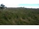Lot 310 & 314 Boyles Rd, Pine Mountain QLD 4306