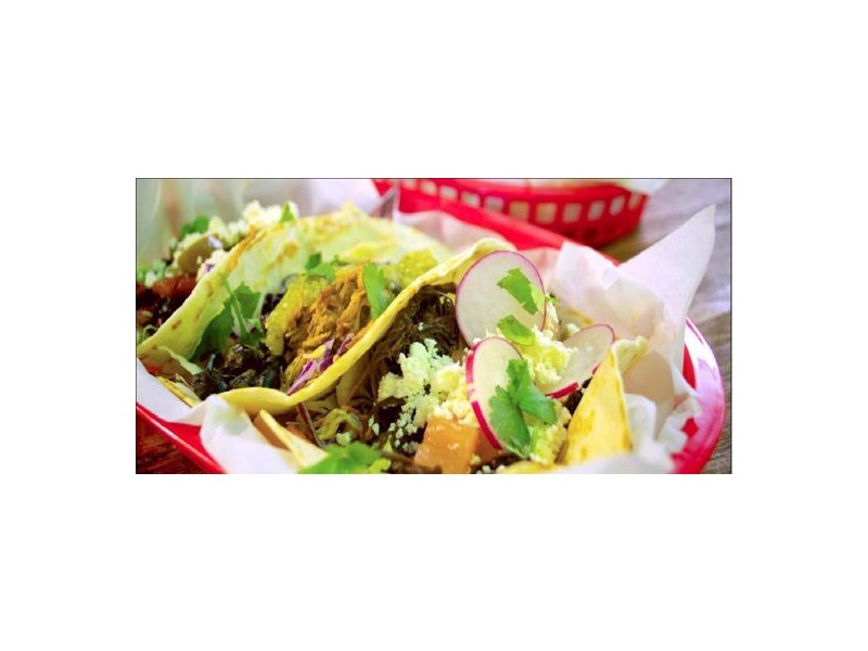 109 Leichardt Street, Spring Hill QLD 4000