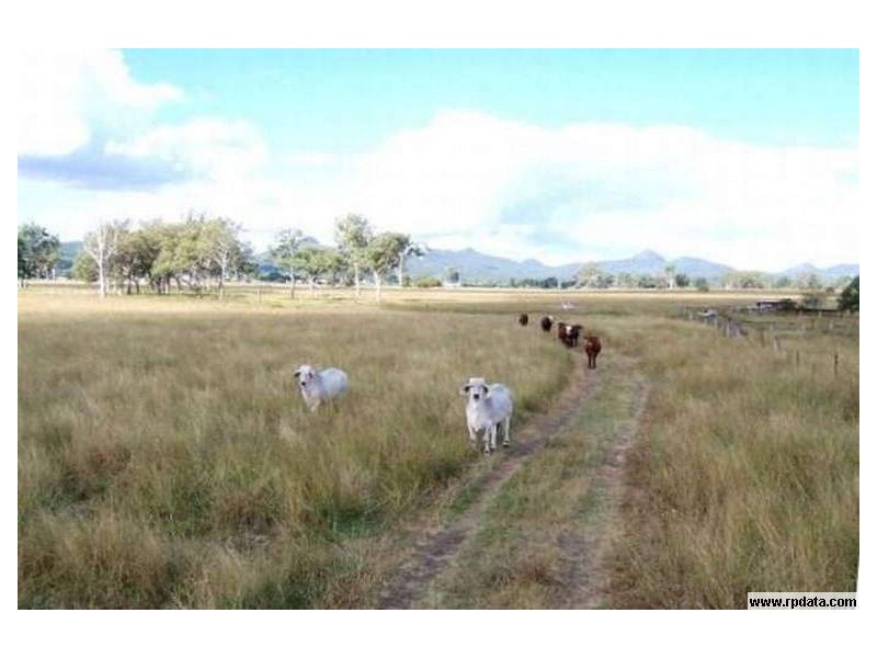 Peak Crossing QLD 4306