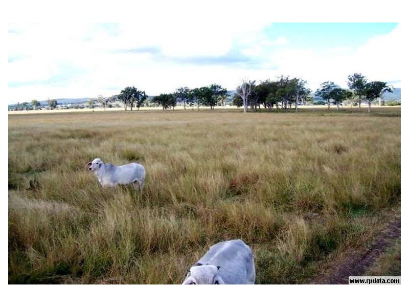 Peak Crossing QLD 4306