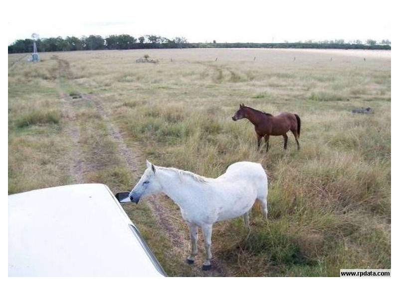 Peak Crossing QLD 4306