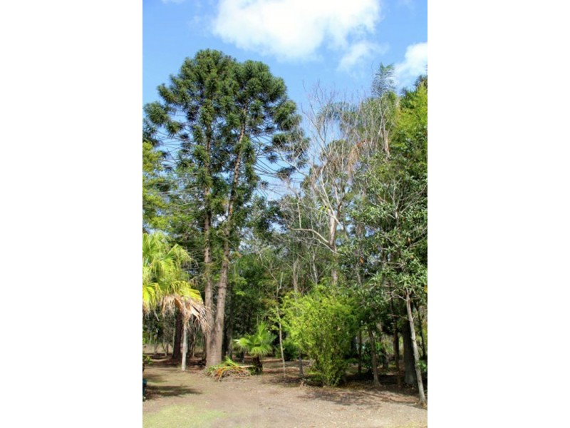 33 Penarth Street, Runcorn QLD 4113