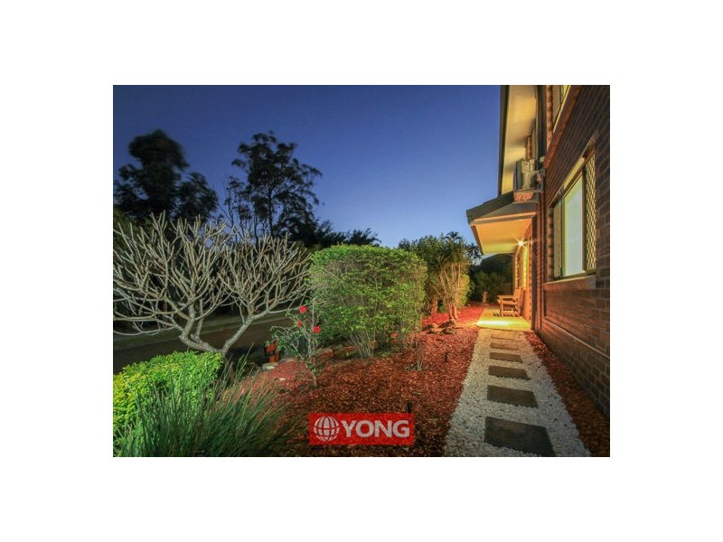 21 Freesia St, Macgregor QLD 4109