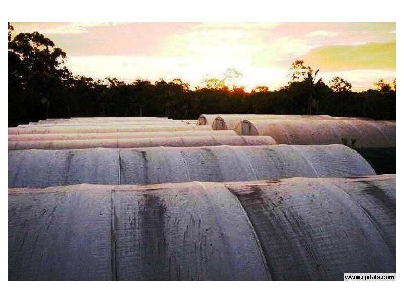 Doolandella QLD 4077