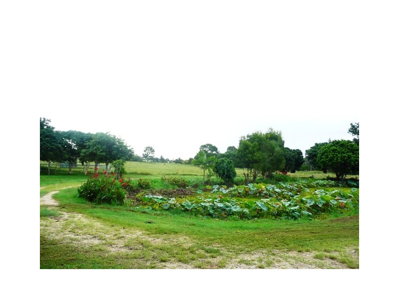 Loganholme QLD 4129
