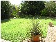 19 Hickory Pl , Calamvale QLD 4116