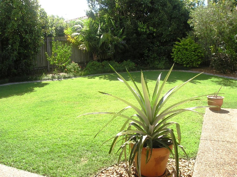 19 Hickory Pl , Calamvale QLD 4116