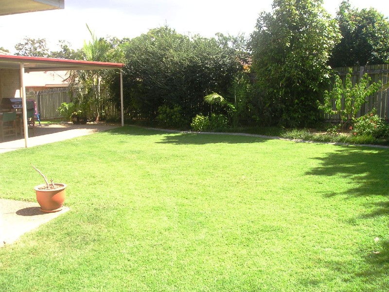 19 Hickory Pl , Calamvale QLD 4116