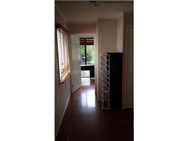 29 Narooma St, Sunnybank Hills QLD 4109