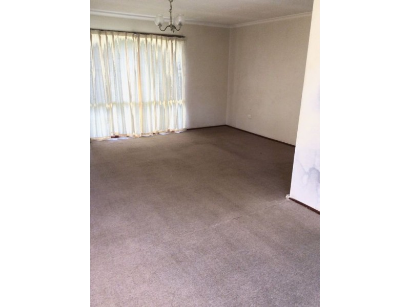 6 Karalee St, Sunnybank QLD 4109