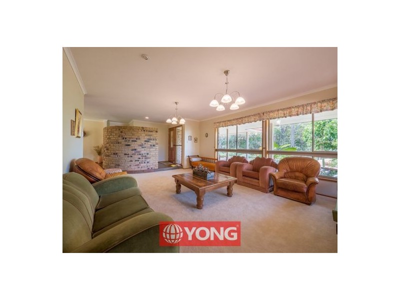 93 Arafura Street, Upper Mount Gravatt QLD 4122