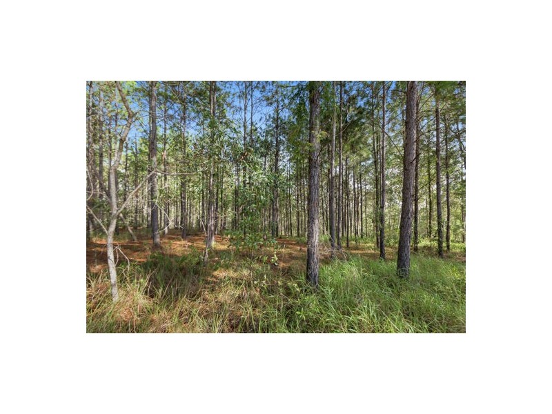 222 Learoyd Road, Willawong QLD 4110