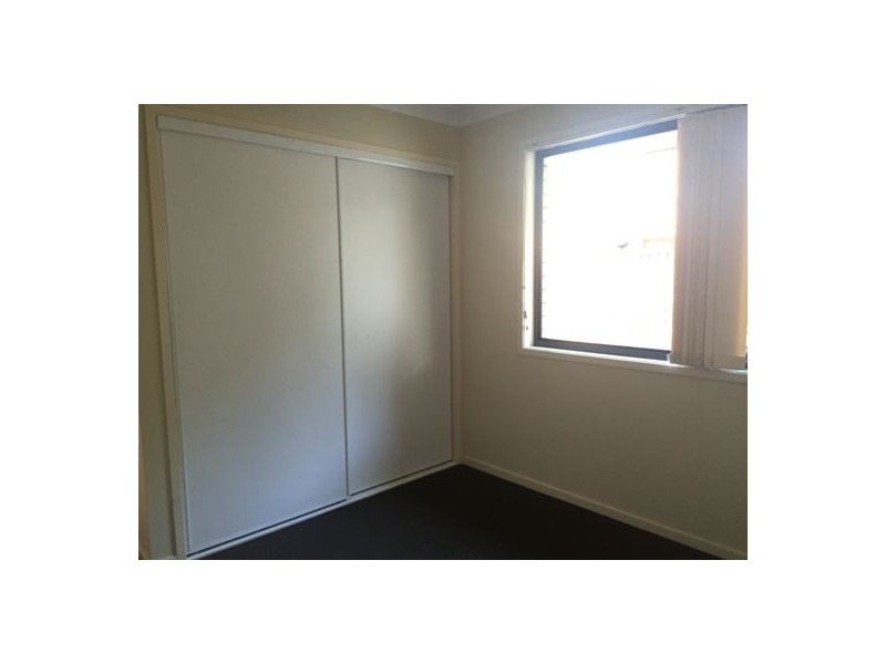 10 Ribbonwood St, Sunnybank Hills QLD 4109