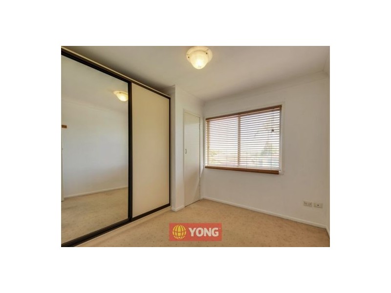 38 Portulaca St, Macgregor QLD 4109