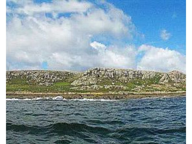 . Ninth Island, Bridport TAS 7262