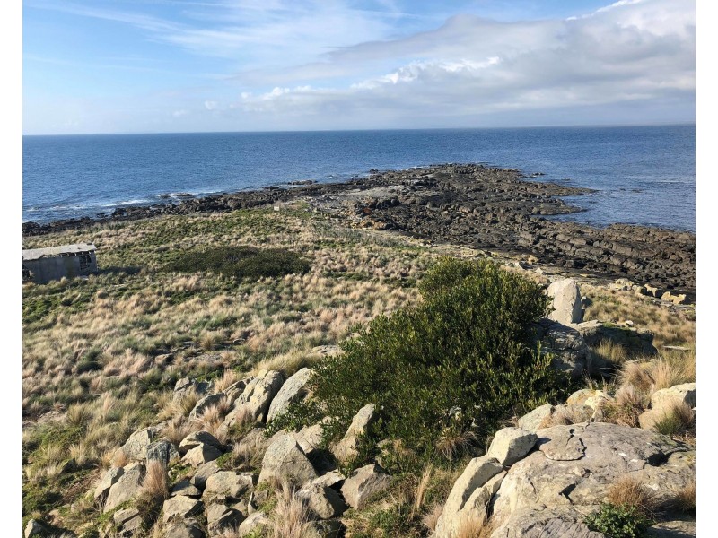 . Ninth Island, Bridport TAS 7262
