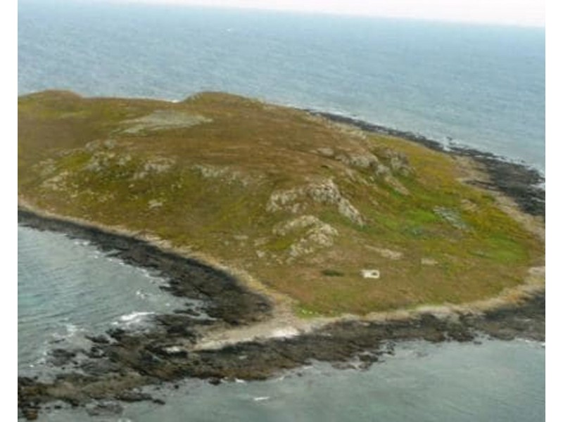 . Ninth Island, Bridport TAS 7262