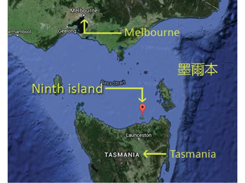 . Ninth Island, Bridport TAS 7262