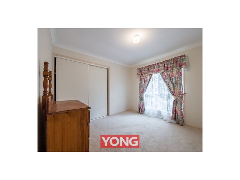 65 Palatine Street, Calamvale QLD 4116