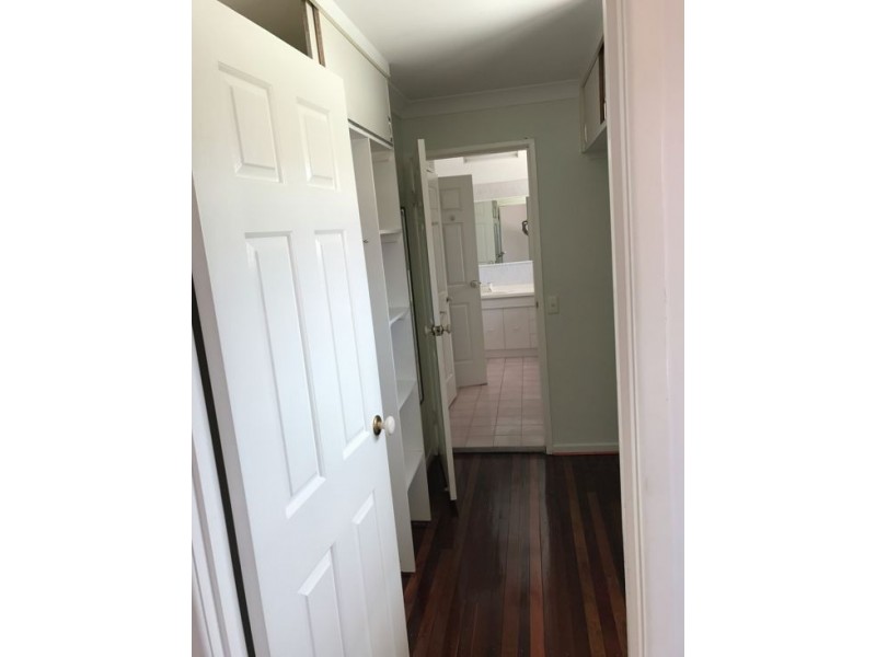 25 Freesia Street, Macgregor QLD 4109