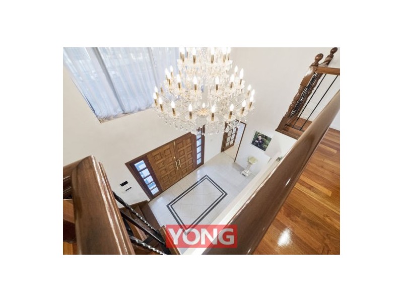 39 Willowleaf Close, Stretton QLD 4116