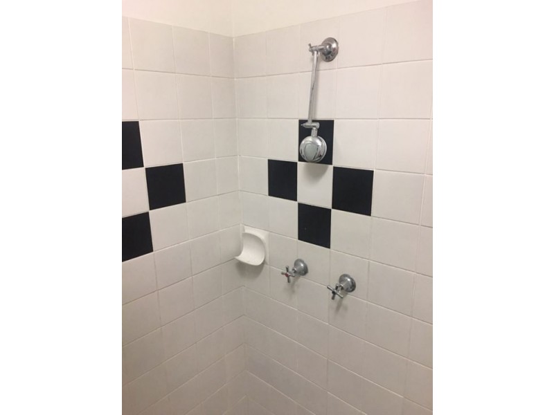 20 Cameo Street, Loganlea QLD 4131