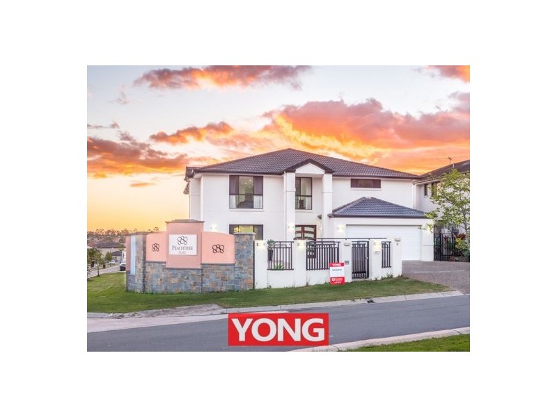 12 Peachtree Place, Stretton QLD 4116